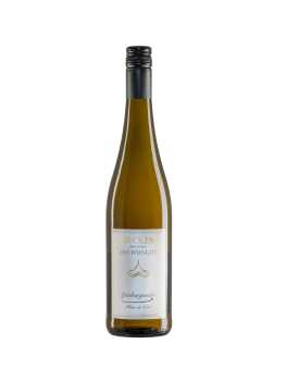 2025er Spätburgunder "Blanc de Noir"